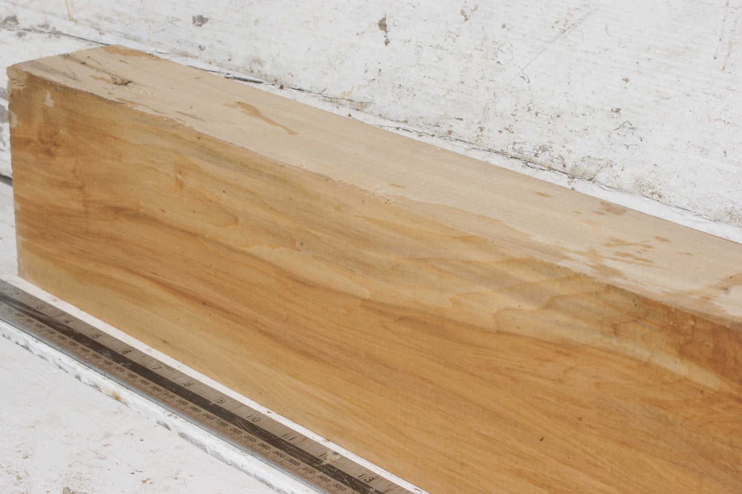 Lime suitable for wood carving (497)