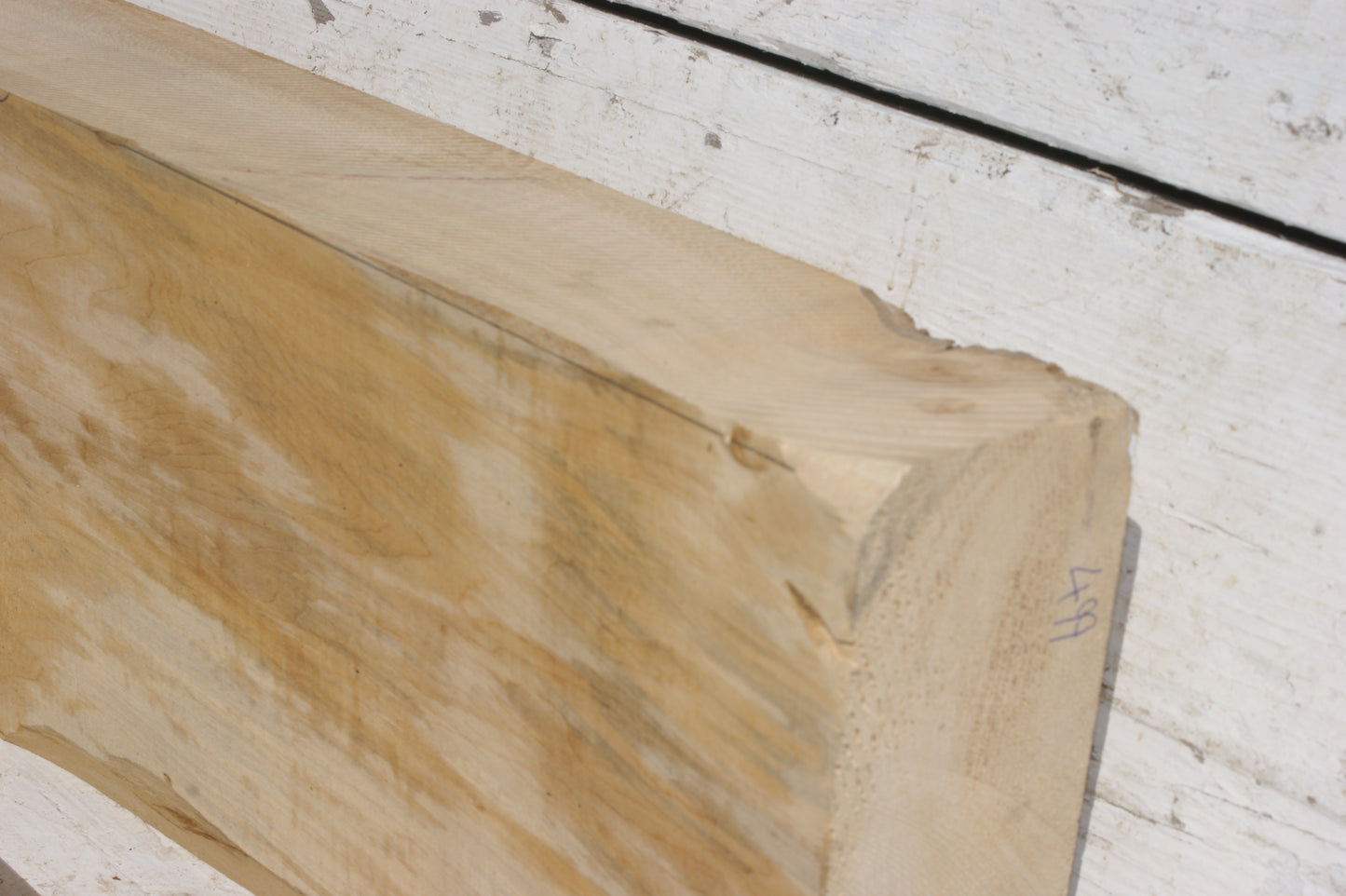 Lime suitable for wood carving (499)