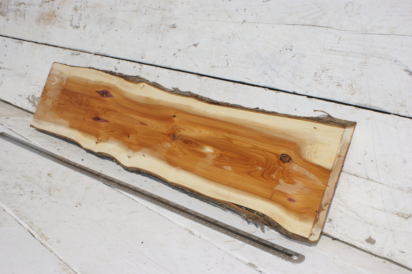 English Yew Shelf. (501)