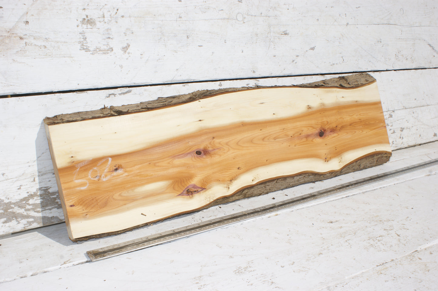 English Yew Shelf. (502)
