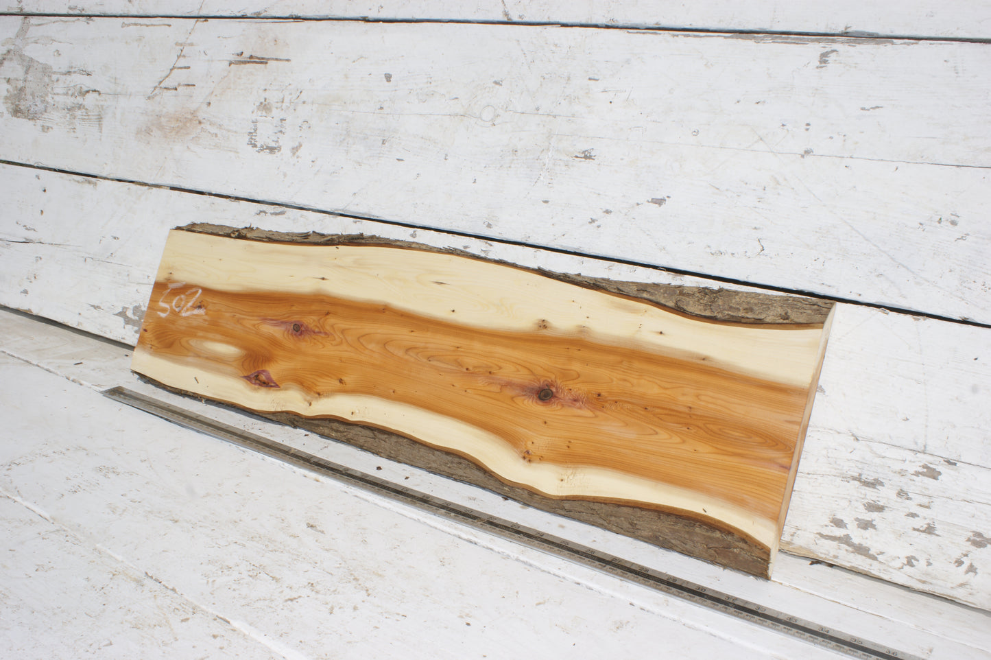 English Yew Shelf. (502)