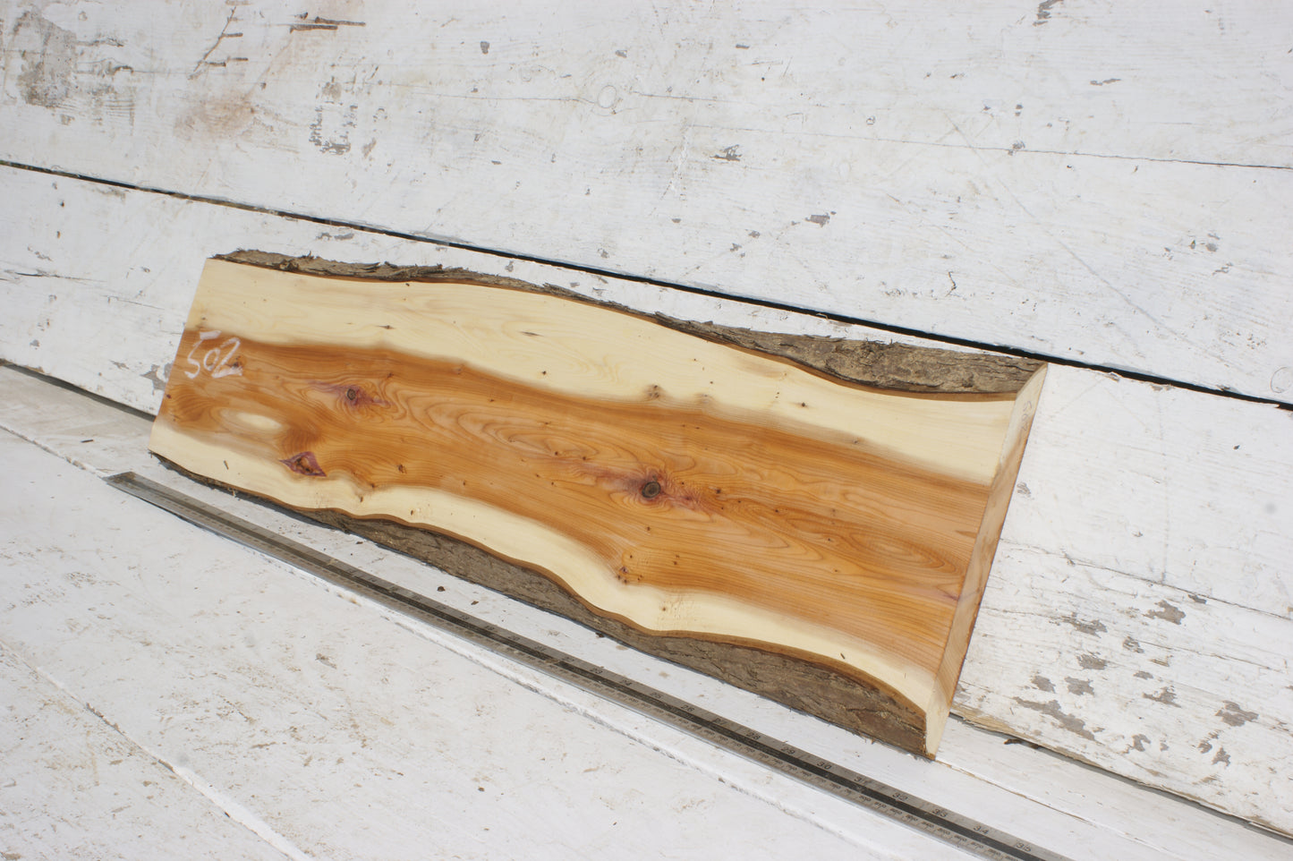 English Yew Shelf. (502)