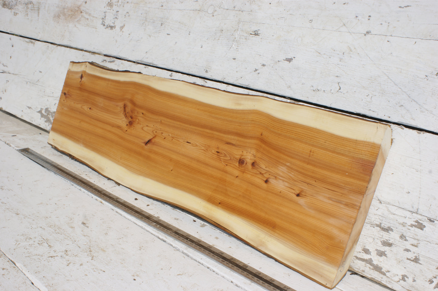 English Yew Shelf. (502)