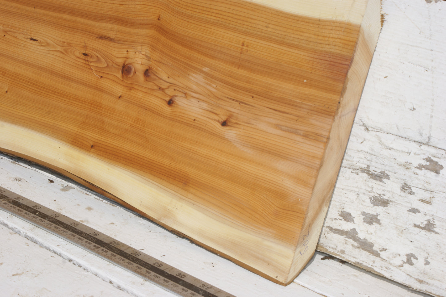 English Yew Shelf. (502)