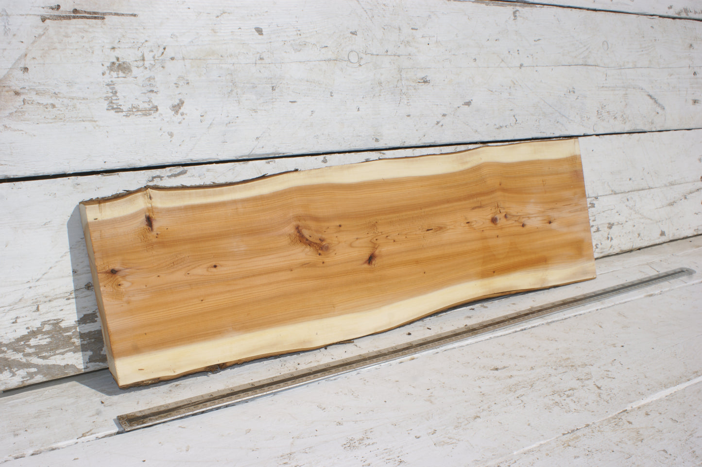English Yew Shelf. (502)