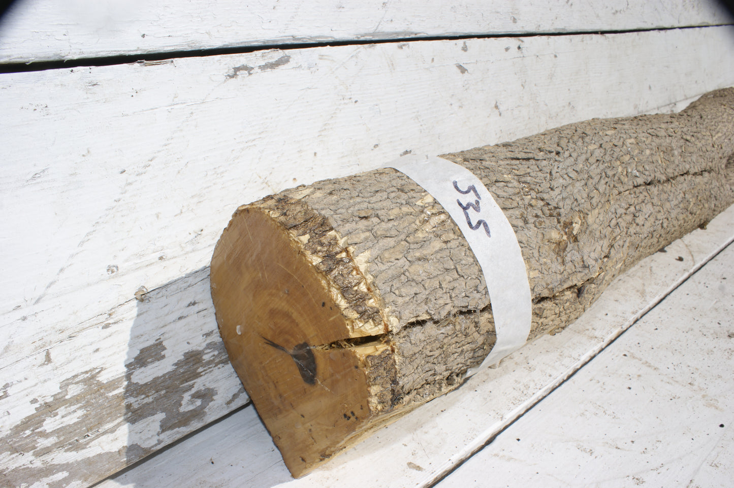 English box wood (535)