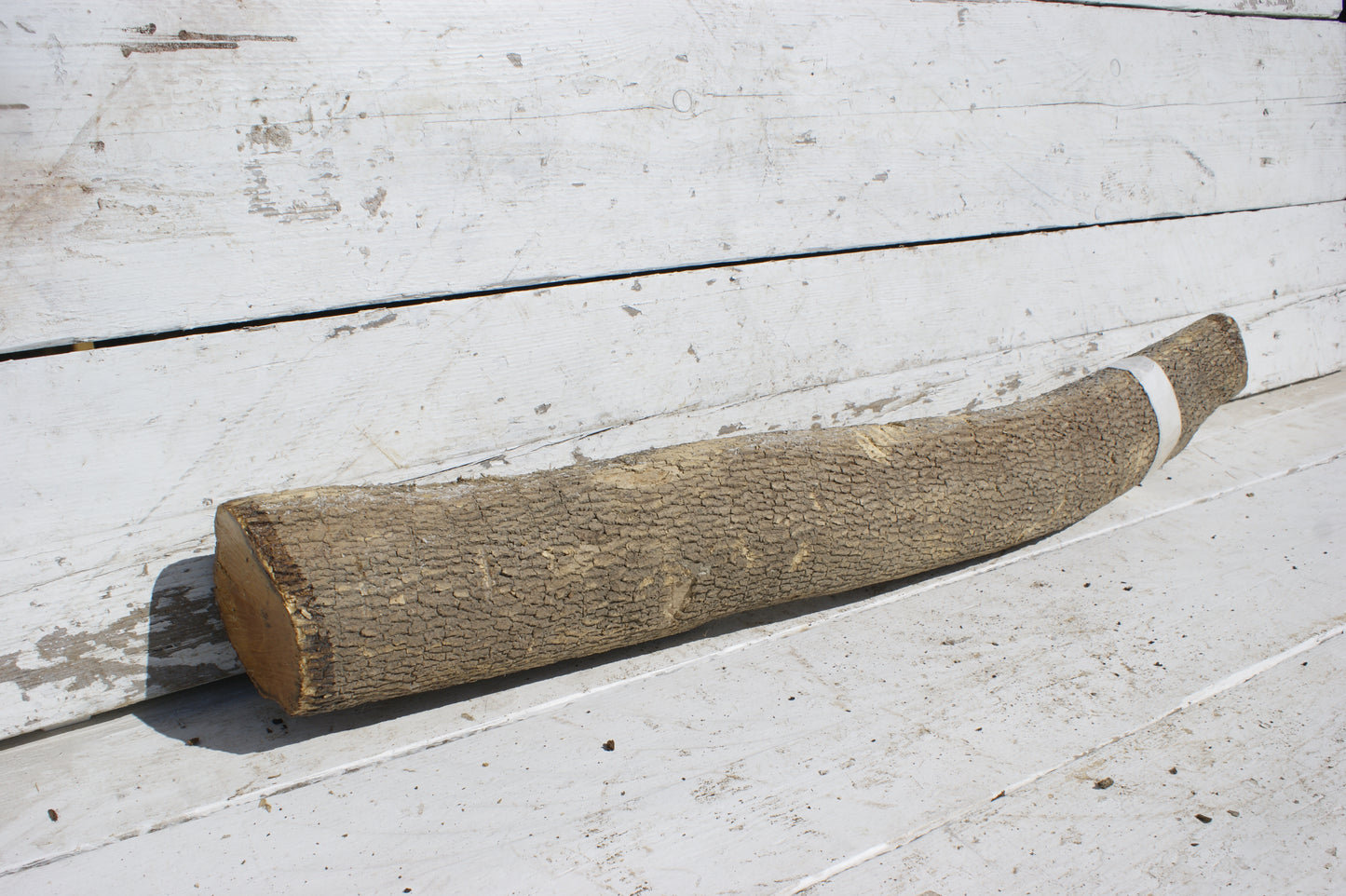 English box wood (536)