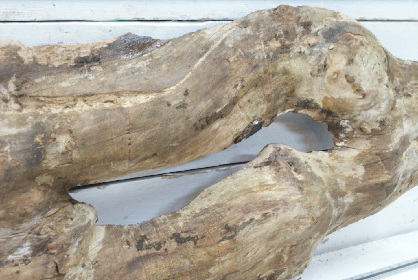 Elm 1015 x 412 - 215 x 60mm (102)