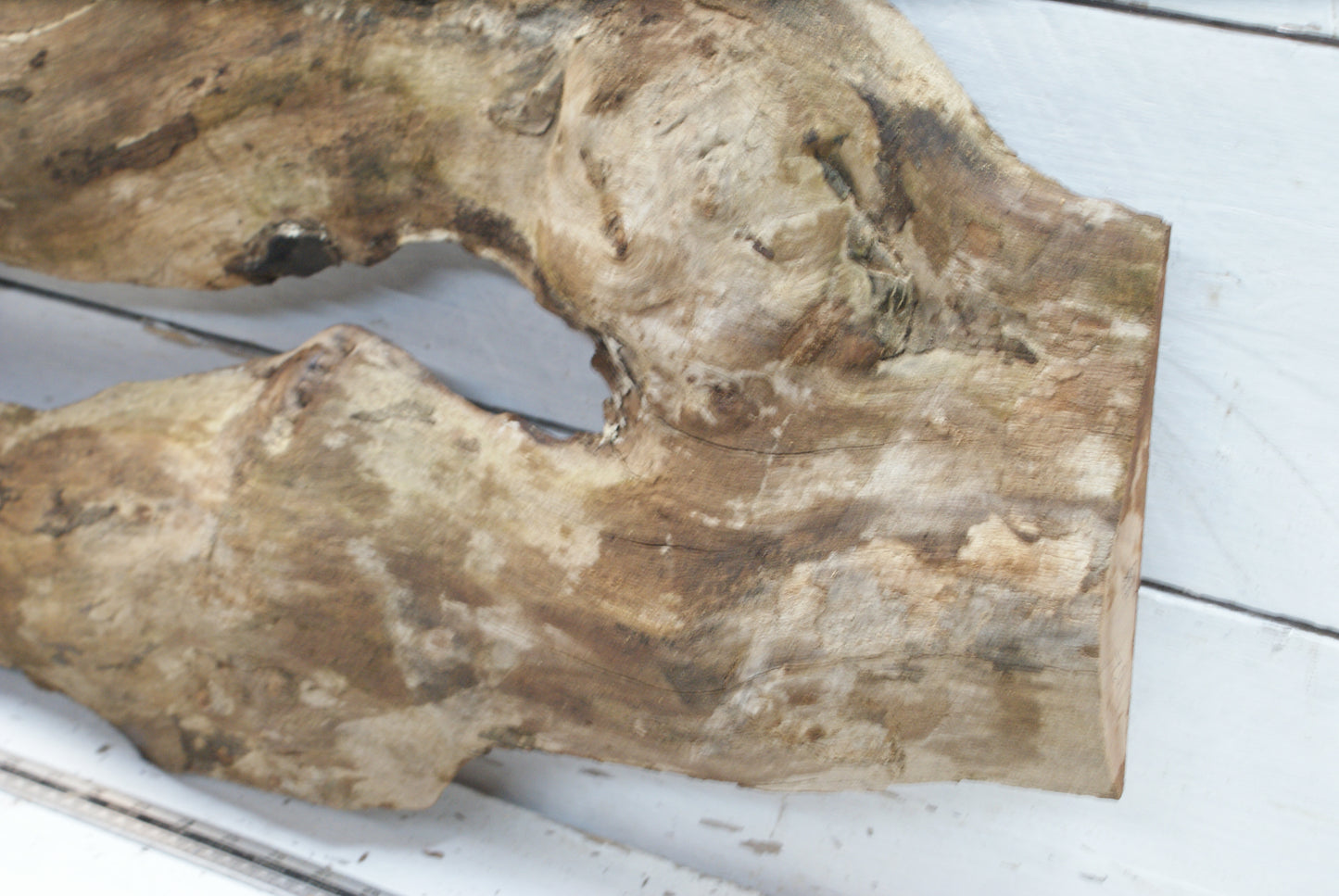 Elm 1015 x 412 - 215 x 60mm (102)