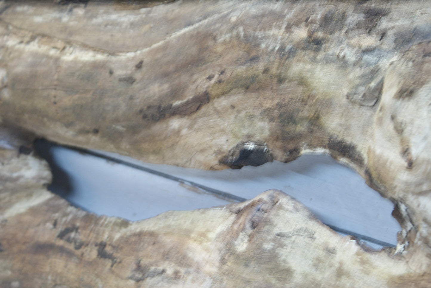 Elm 1015 x 412 - 215 x 60mm (102)