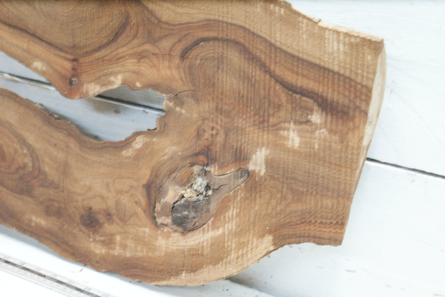 Elm 1015 x 412 - 215 x 60mm (102)