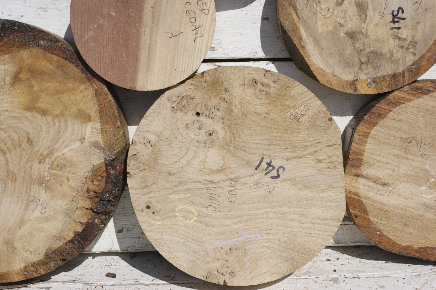 6x A grade mixed wood turning blank (541)