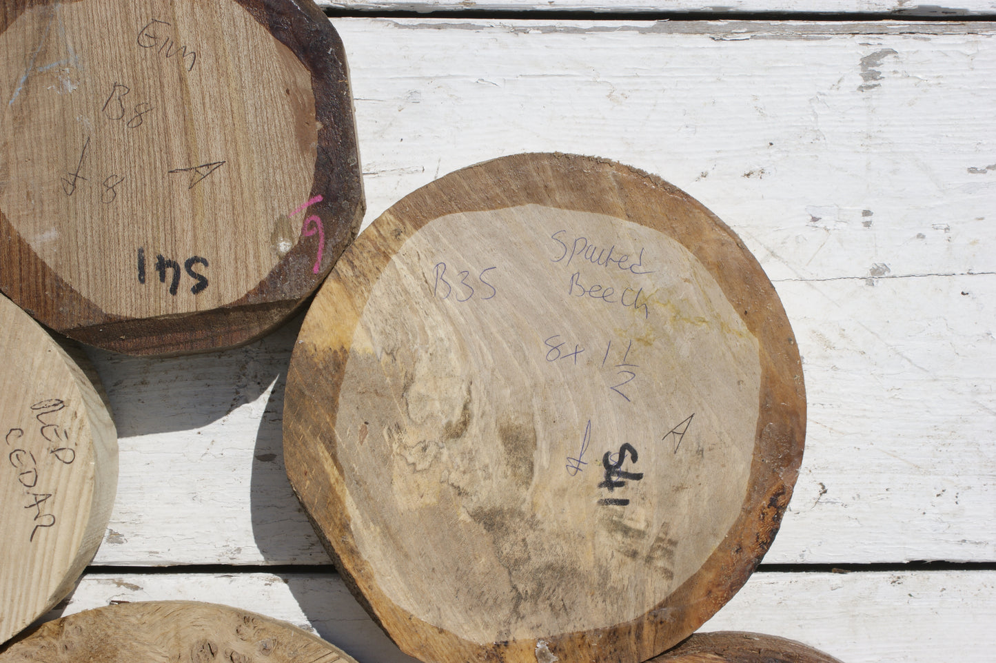 6x A grade mixed wood turning blank (541)