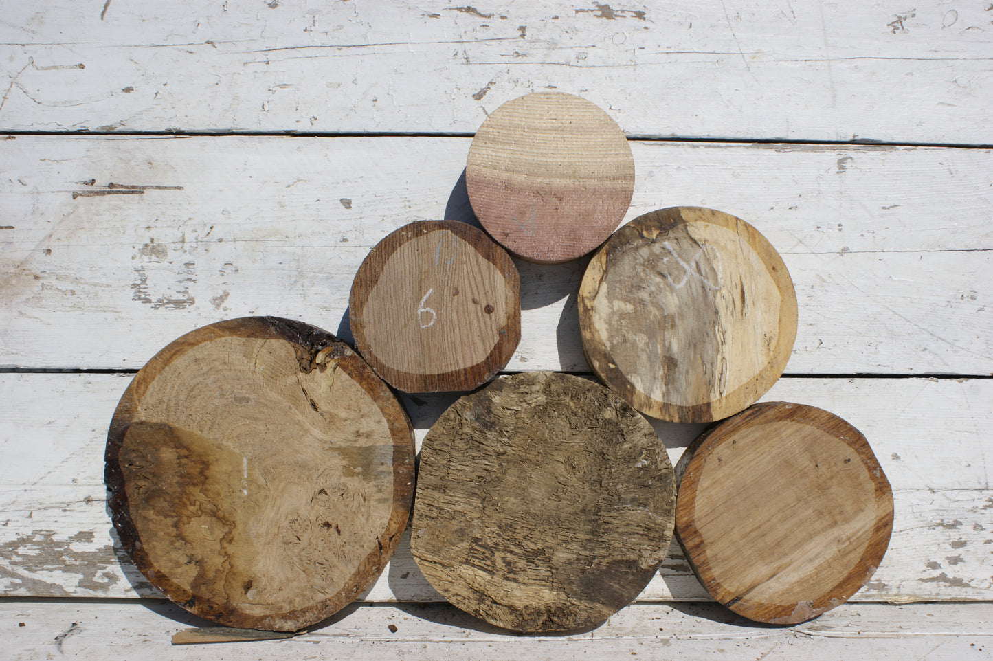 6x A grade mixed wood turning blank (541)