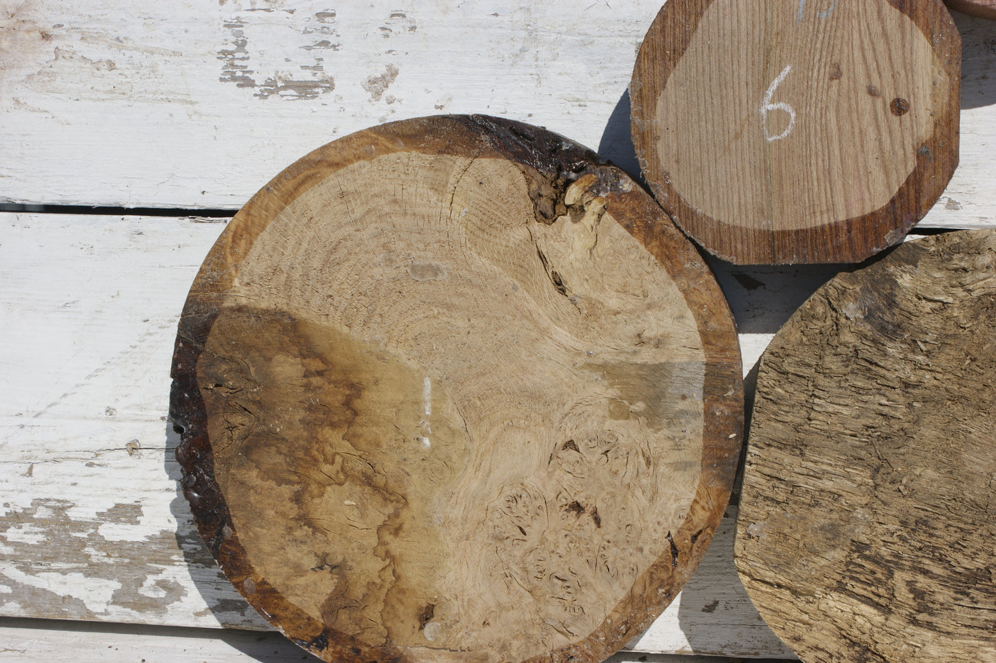 6x A grade mixed wood turning blank (541)