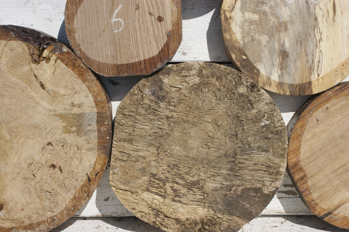 6x A grade mixed wood turning blank (541)