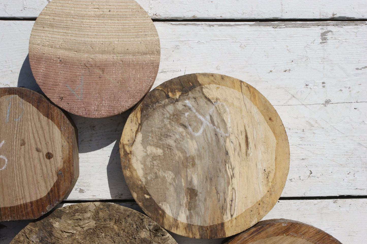 6x A grade mixed wood turning blank (541)