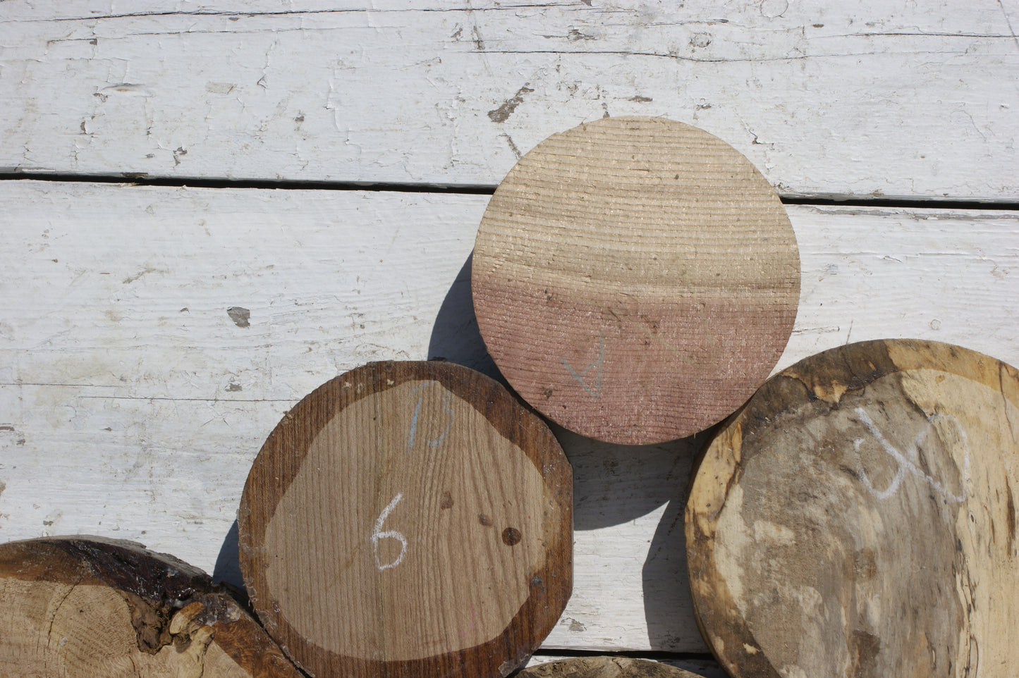 6x A grade mixed wood turning blank (541)