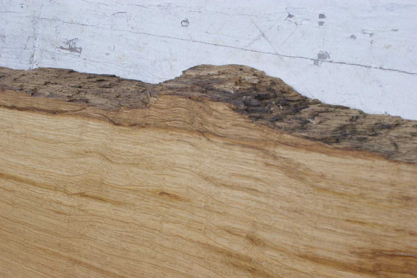 Brown oak shelf board (549)