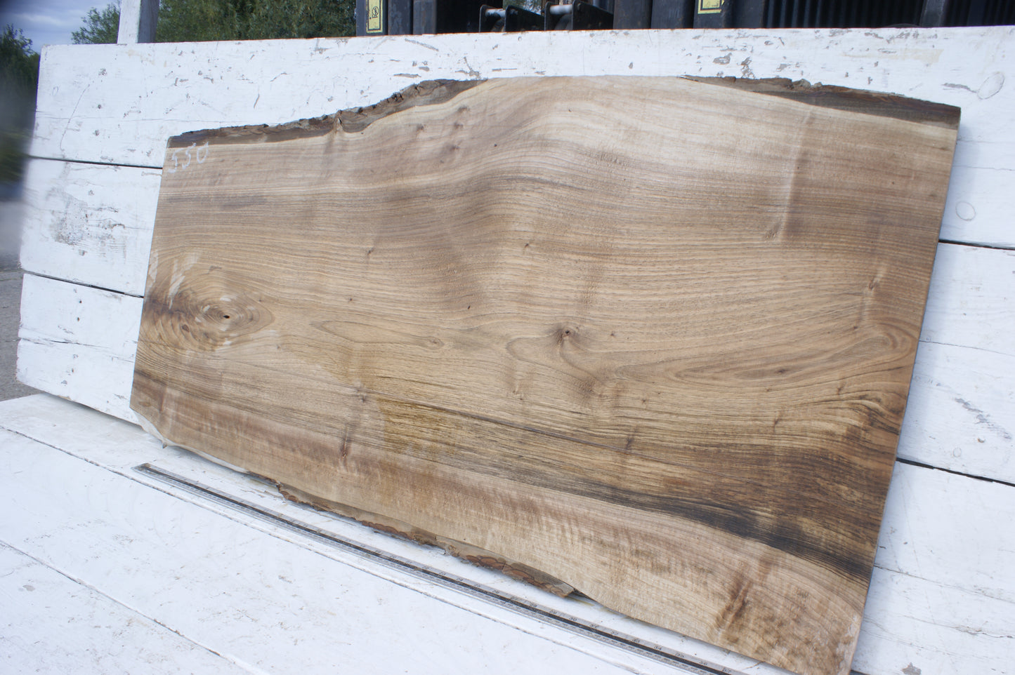 Walnut slab, shelf, board (550)