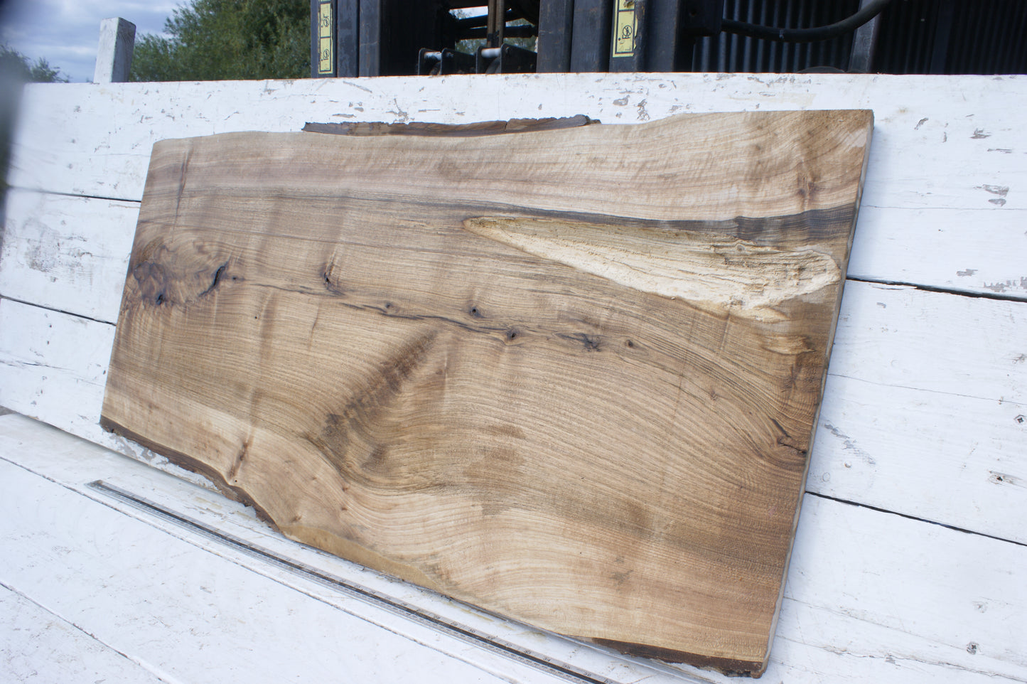 Walnut slab, shelf, board (550)