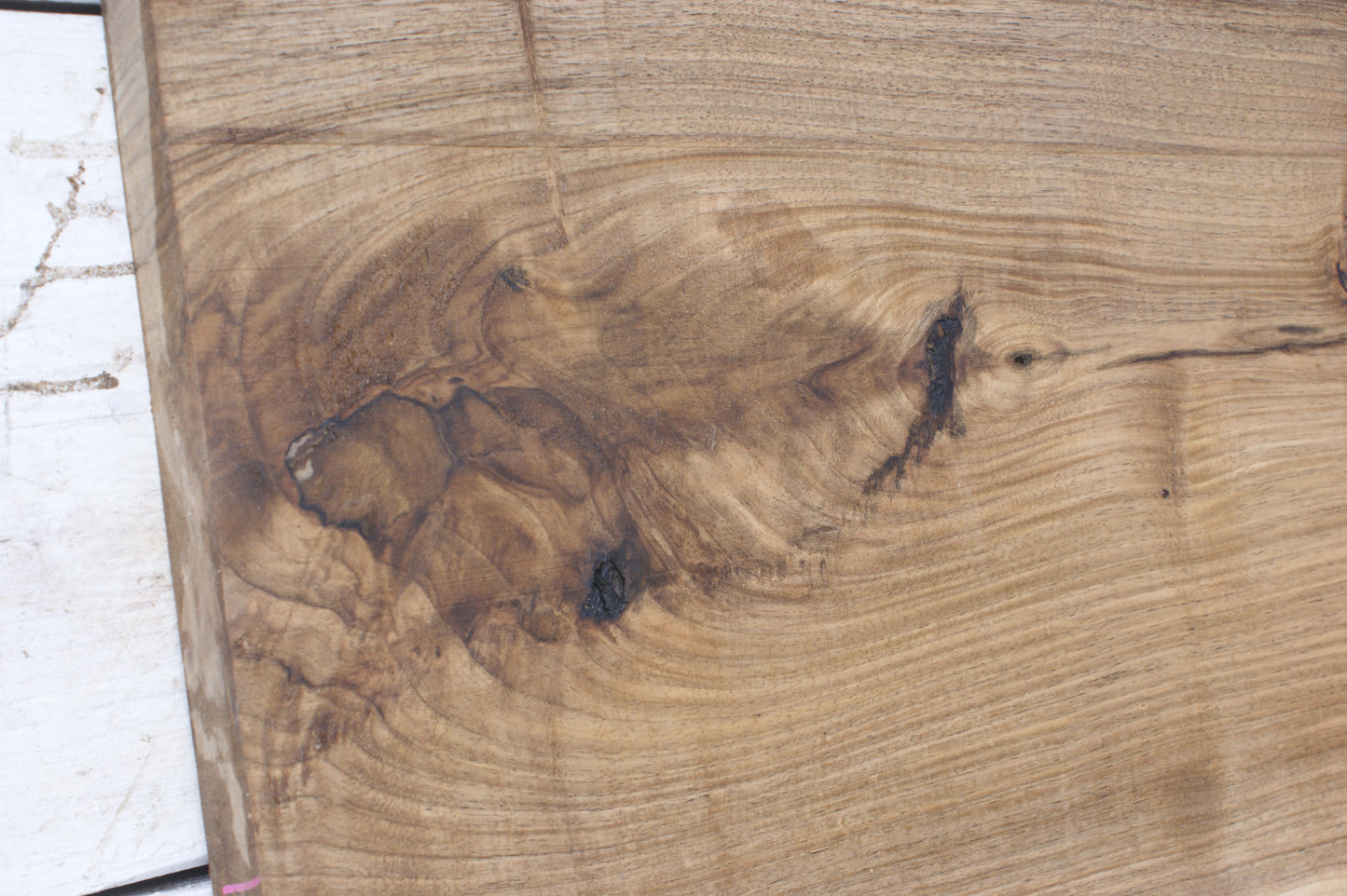 Walnut slab, shelf, board (550)