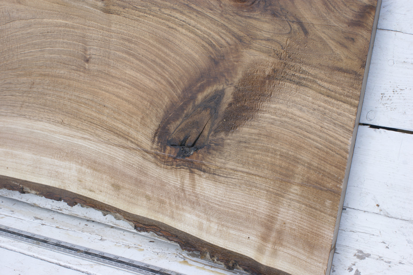 Walnut slab, shelf, board (551)