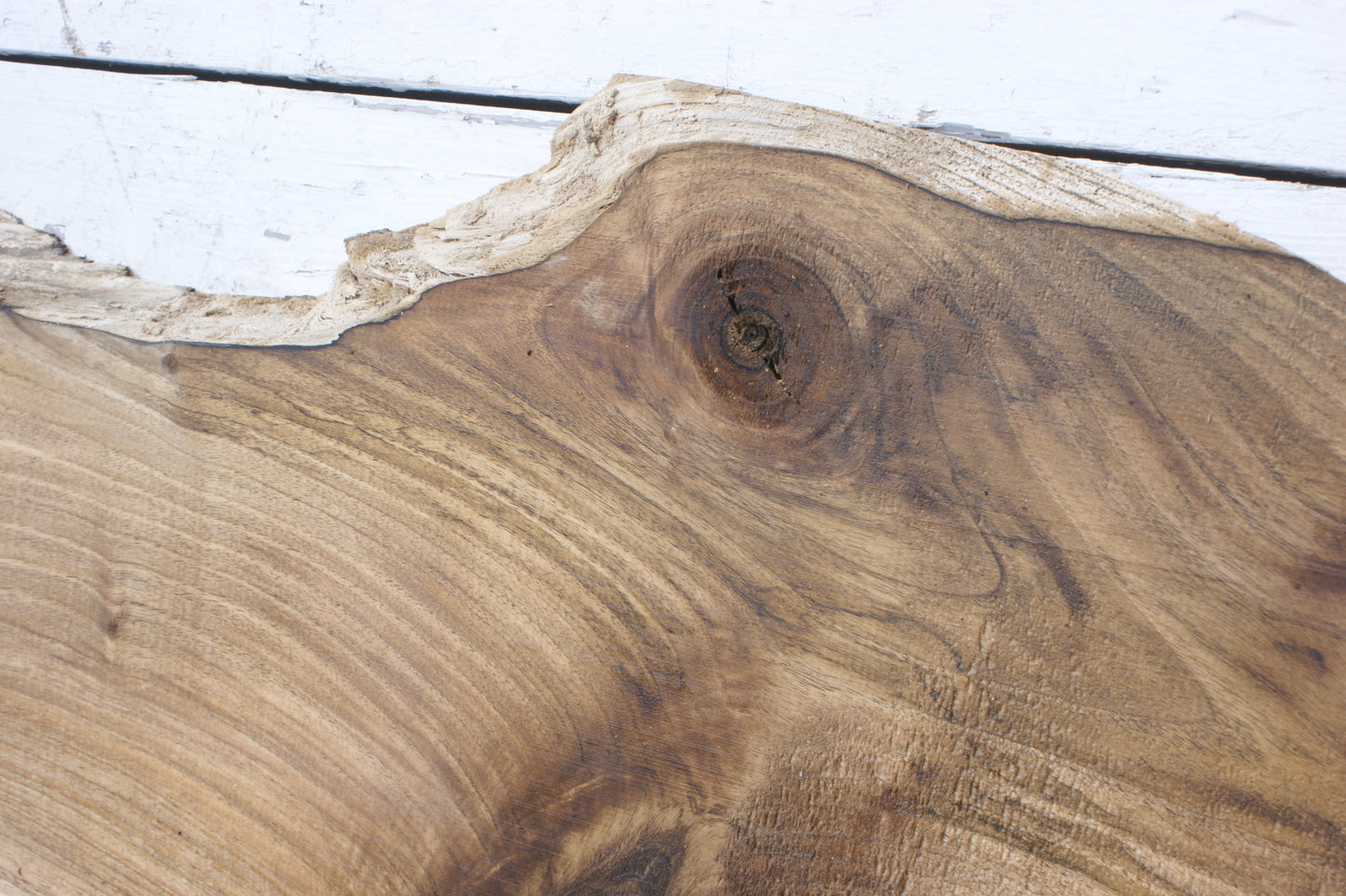 Walnut slab, shelf, board (551)