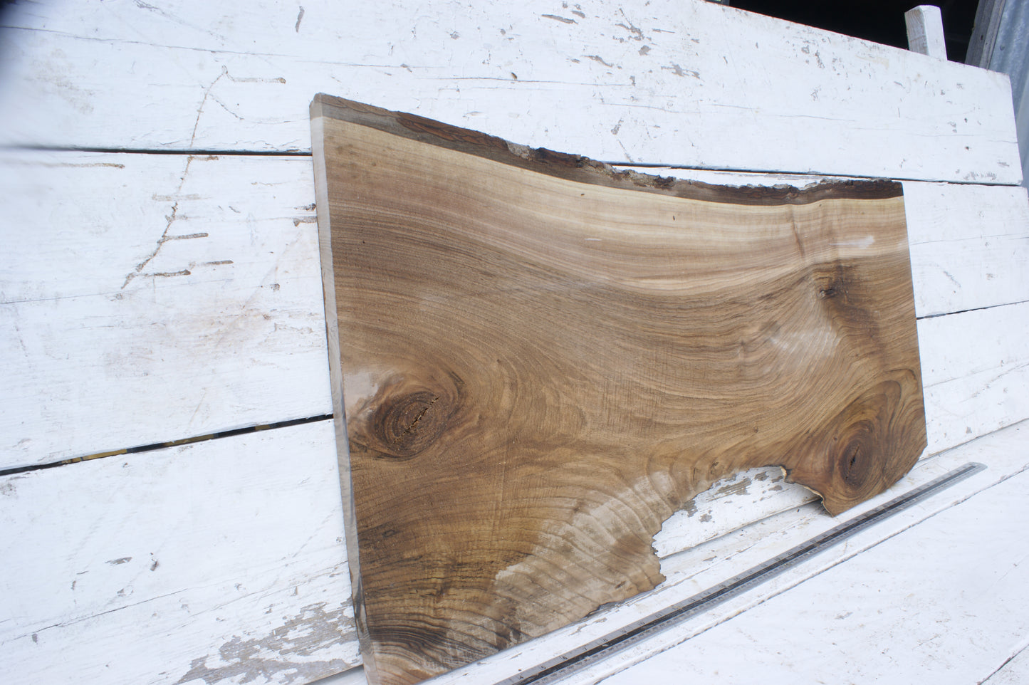 Walnut slab, shelf, board (551)