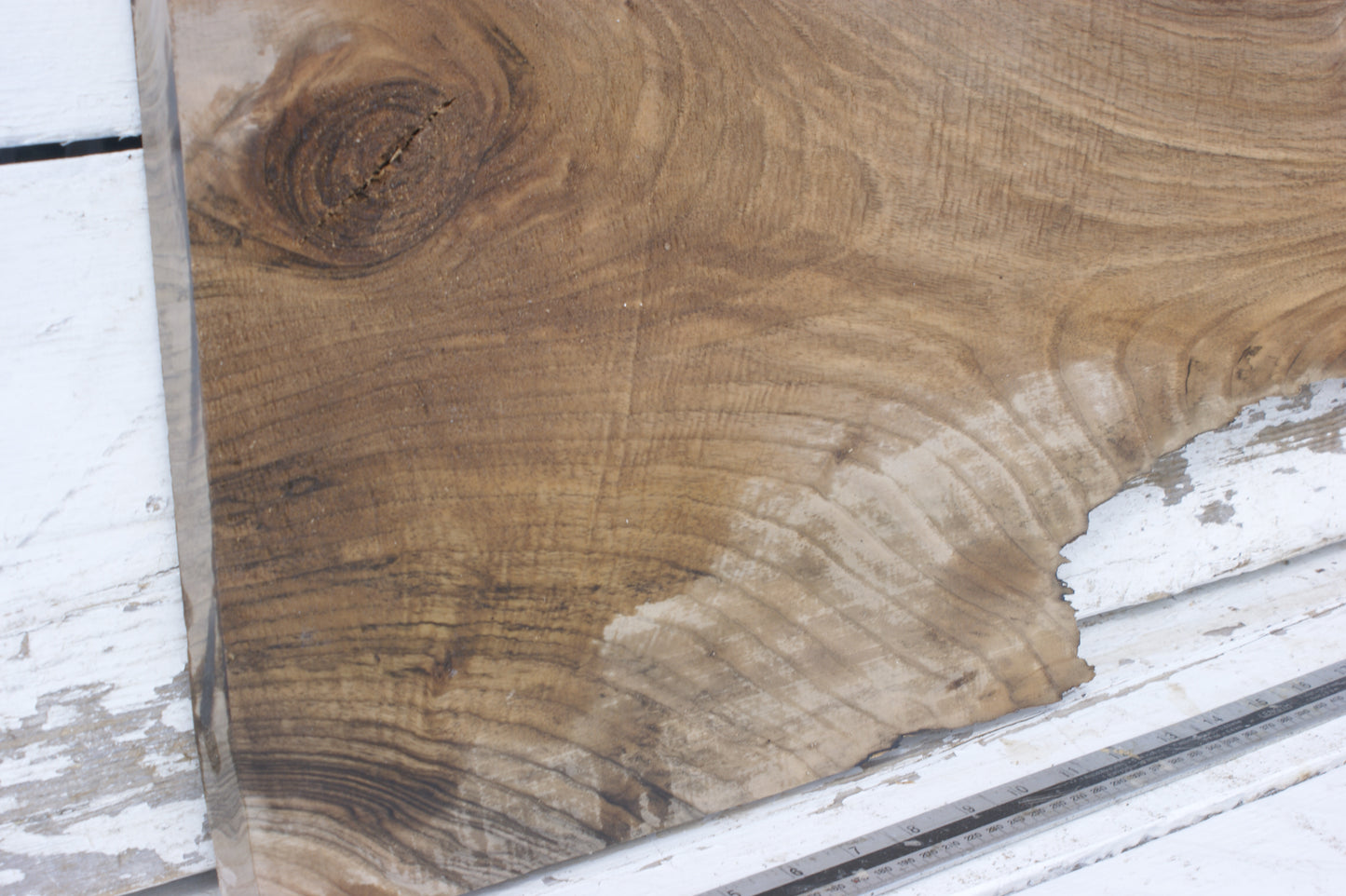 Walnut slab, shelf, board (551)