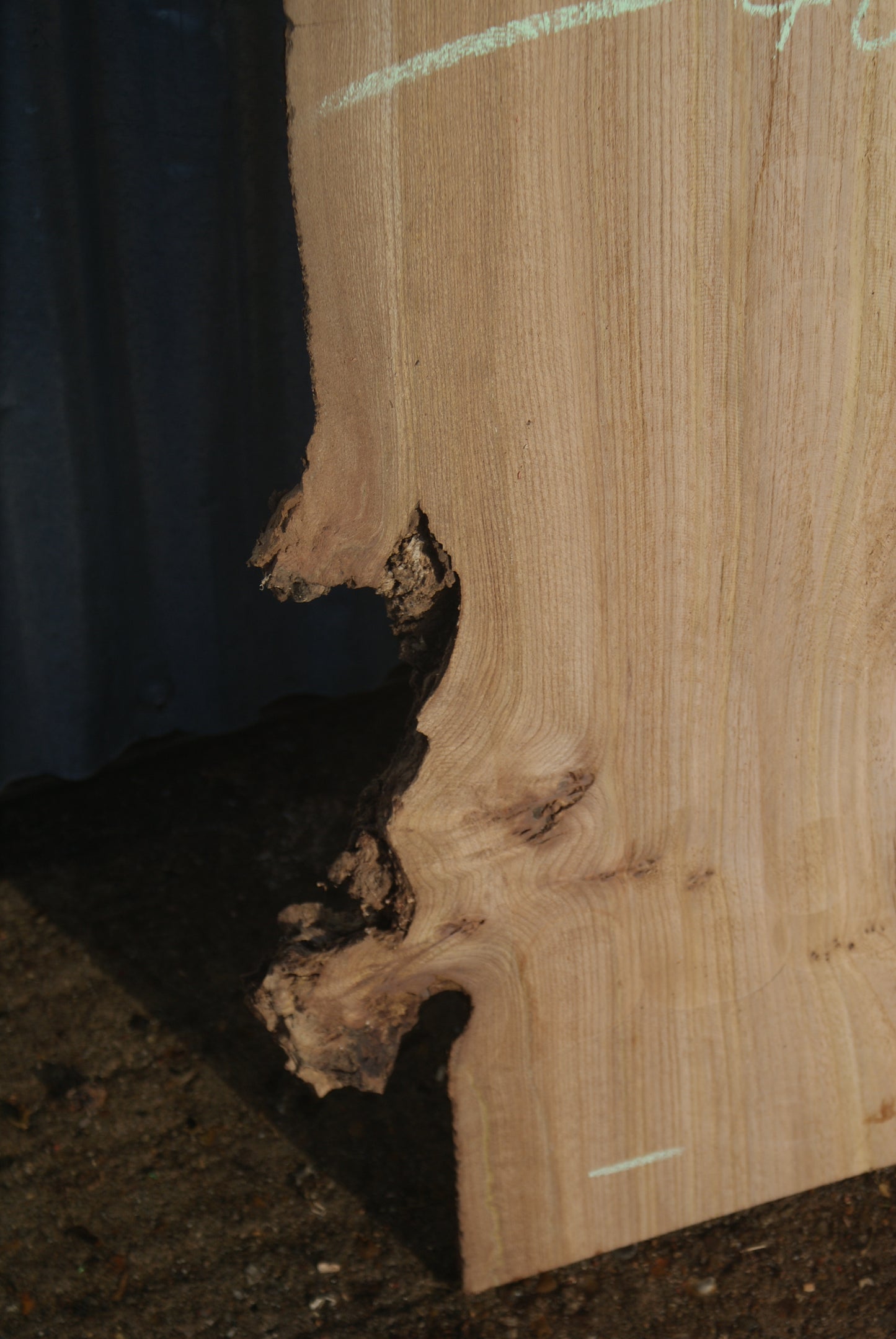 Large Elm Slab Kiln Dried 2780 L x 550 - 415 W x 38 D mm (270)