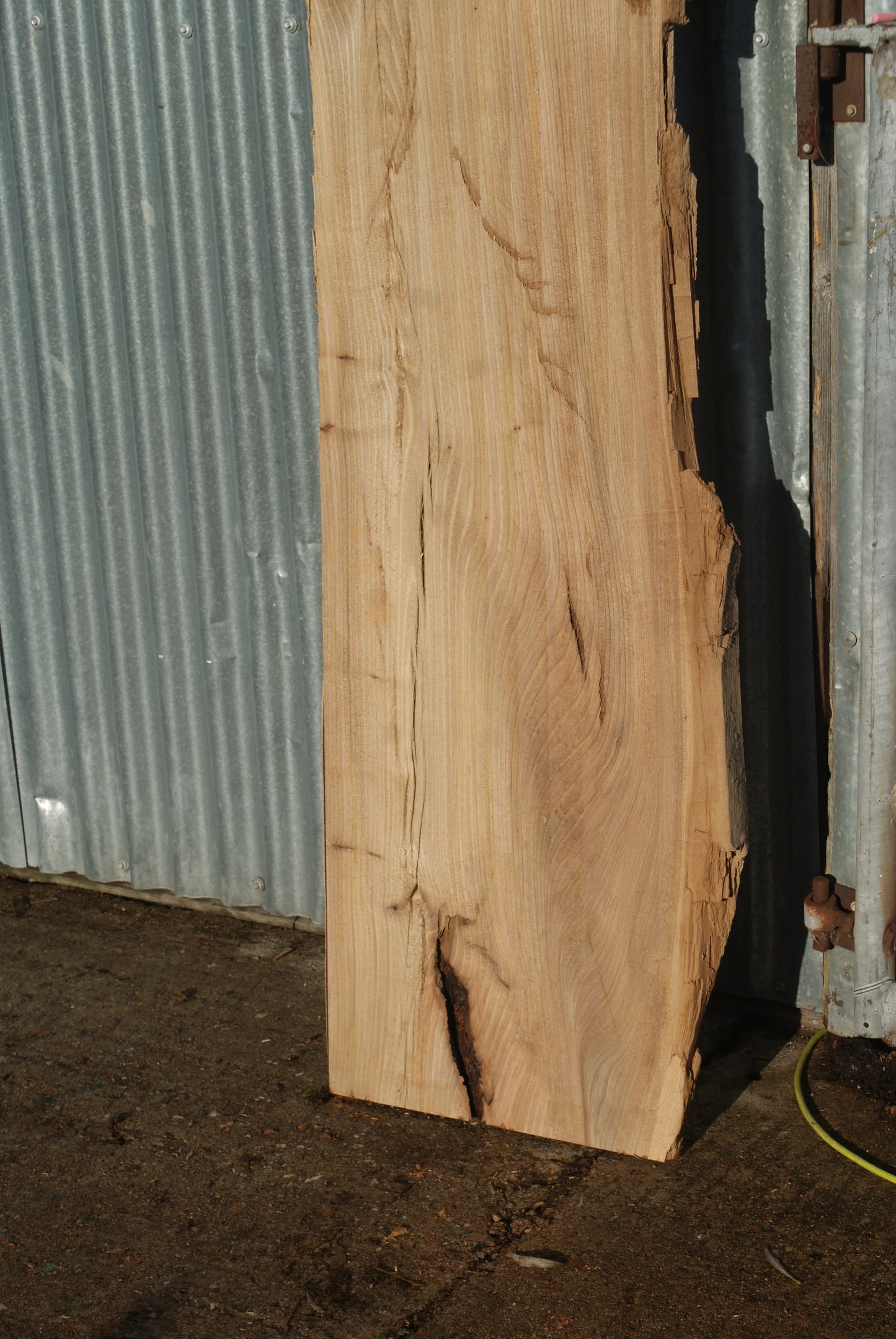 Large Elm Slab Kiln Dried 2575 L x 630 - 450 W x 40 D mm (272)