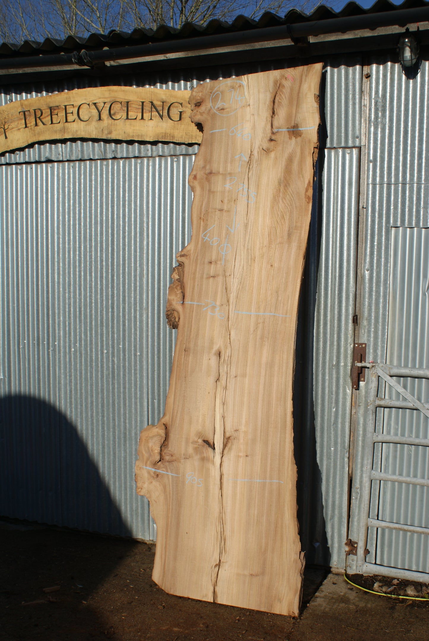 Large Elm Slab Kiln Dried 2755 L x 905 - 604 W x 40 D mm (274)