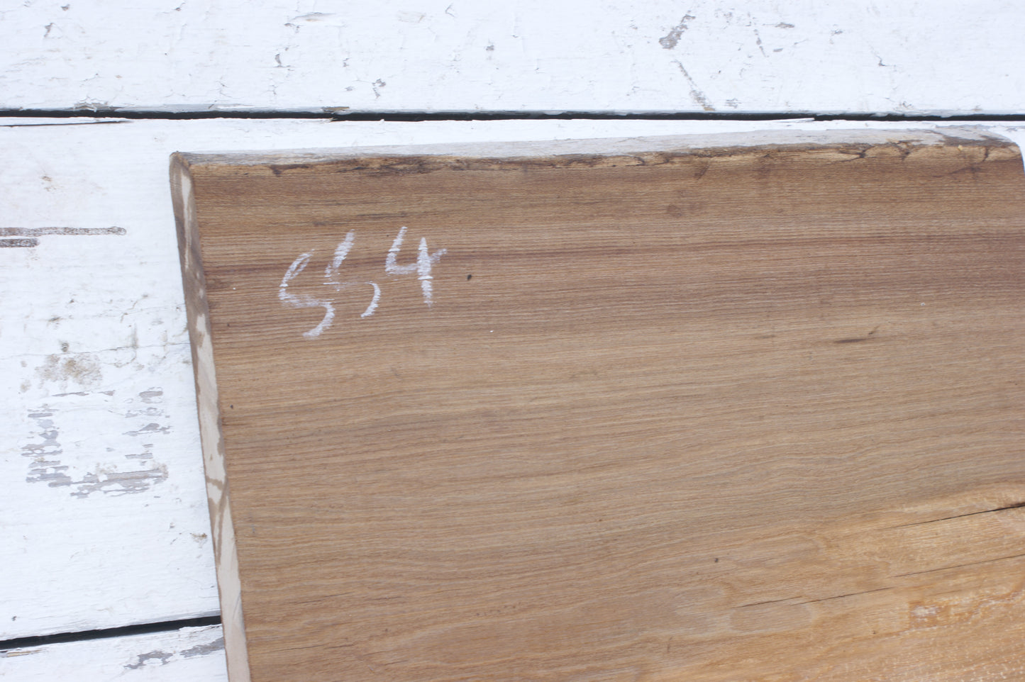 English Elm, slab, shelf, board (554)