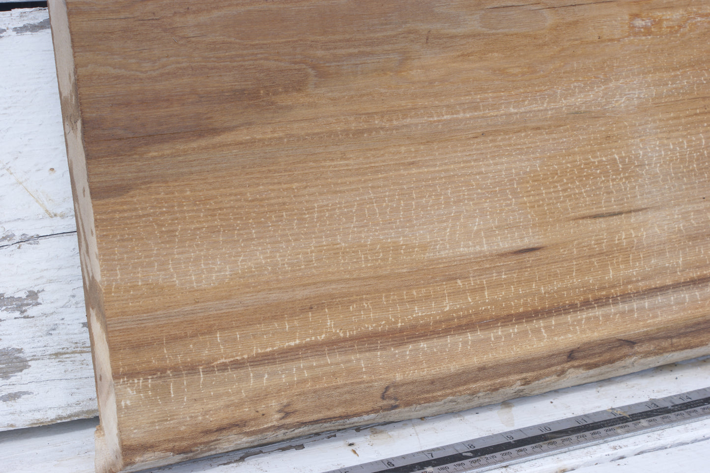 English Elm, slab, shelf, board (554)