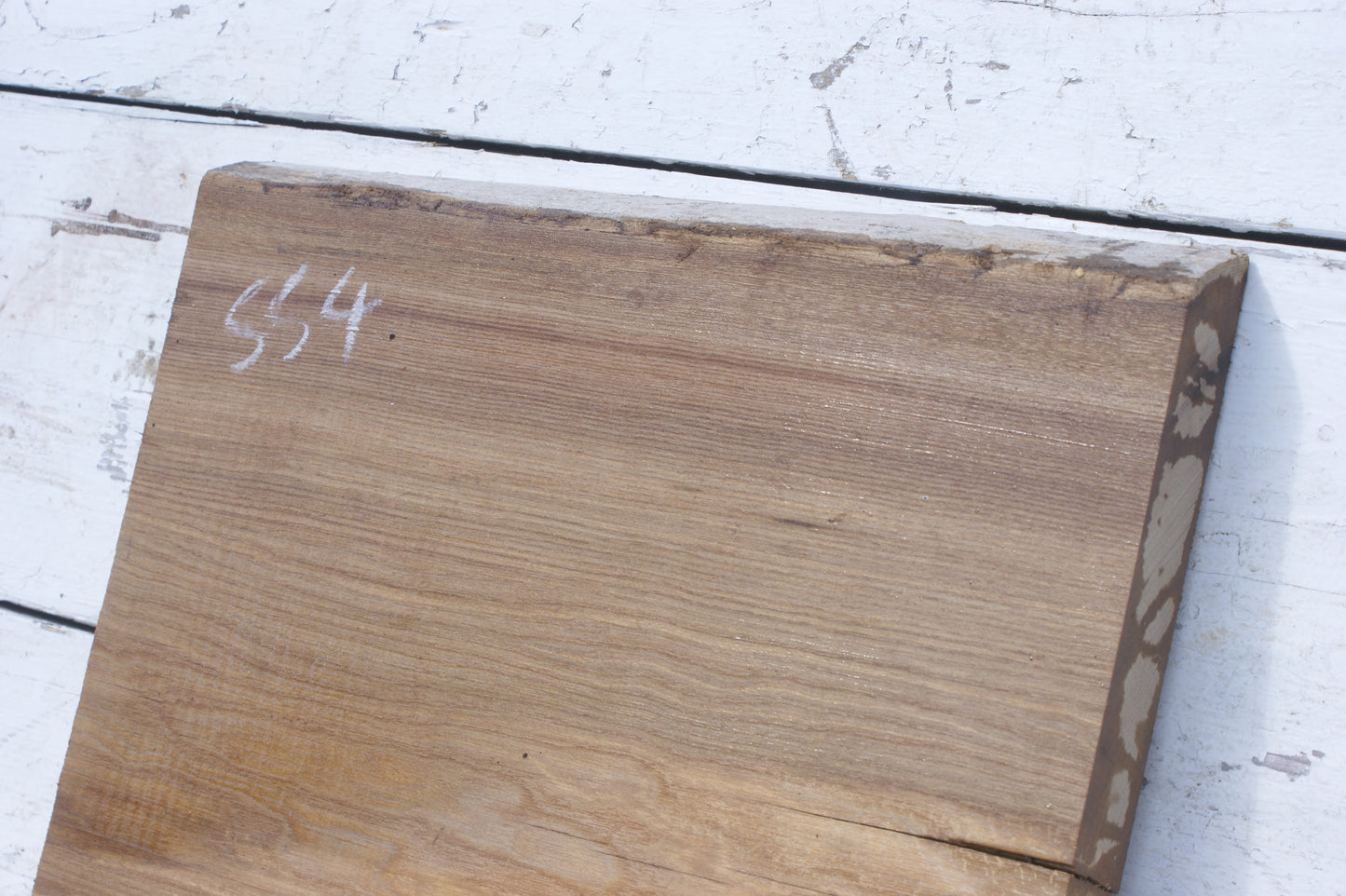 English Elm, slab, shelf, board (554)