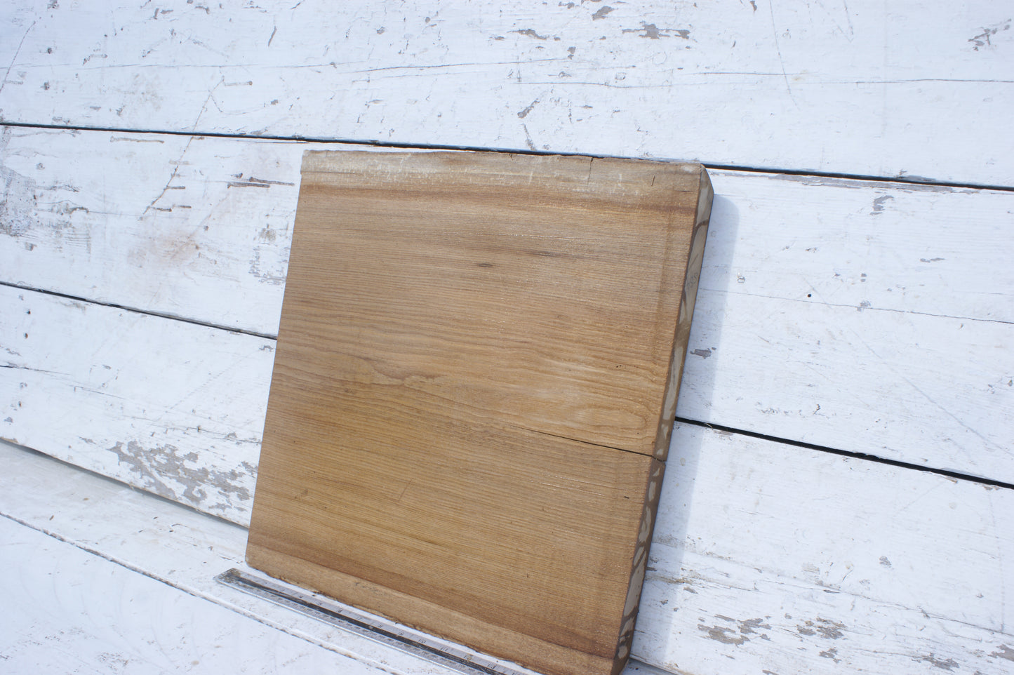 English Elm, slab, shelf, board (554)