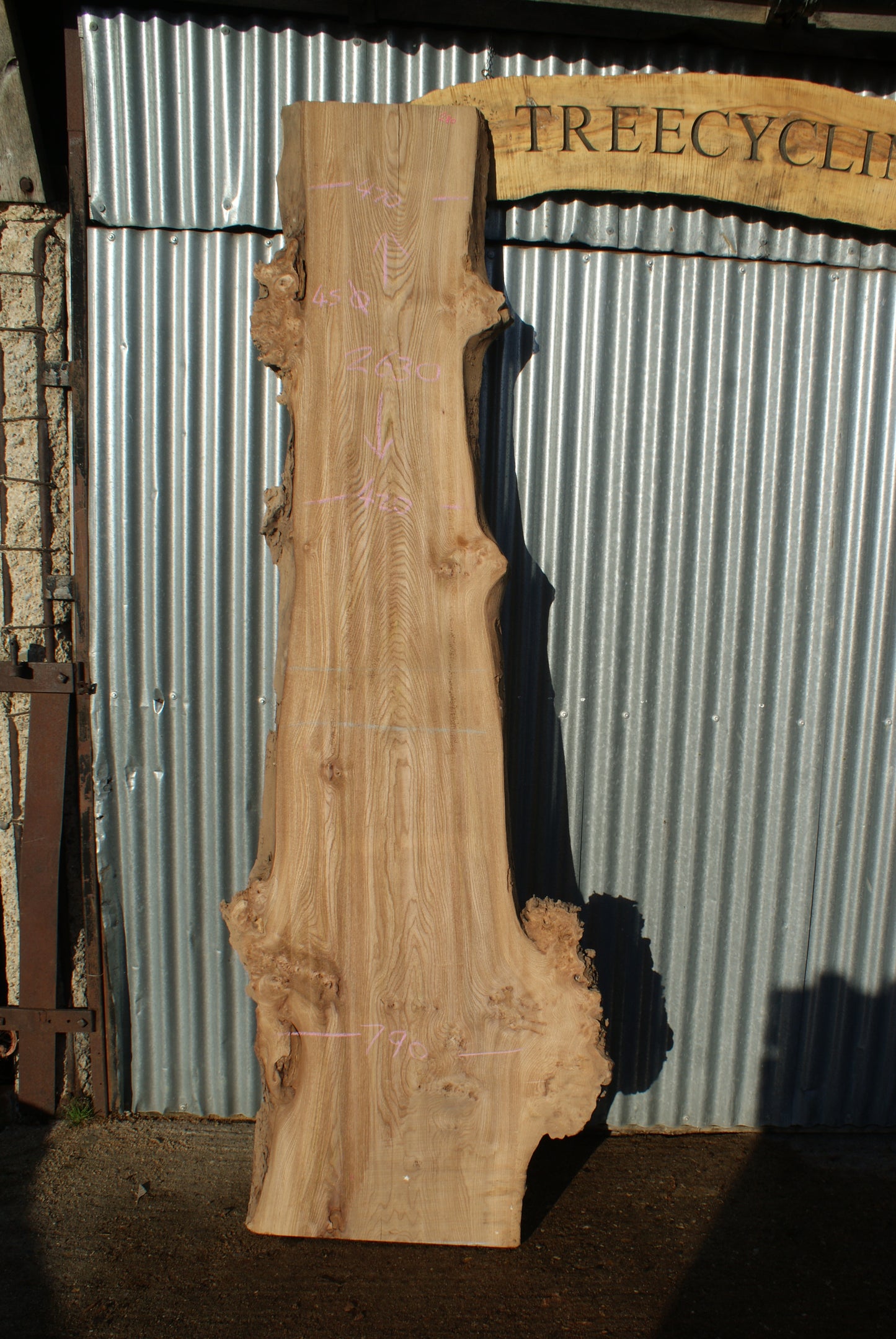 Large Elm Slab Kiln Dried 2630 L x 790 - 430 W x 45 D mm (280)