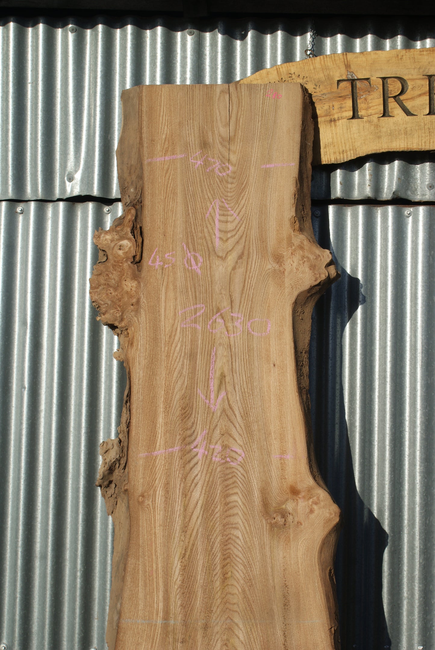 Large Elm Slab Kiln Dried 2630 L x 790 - 430 W x 45 D mm (280)