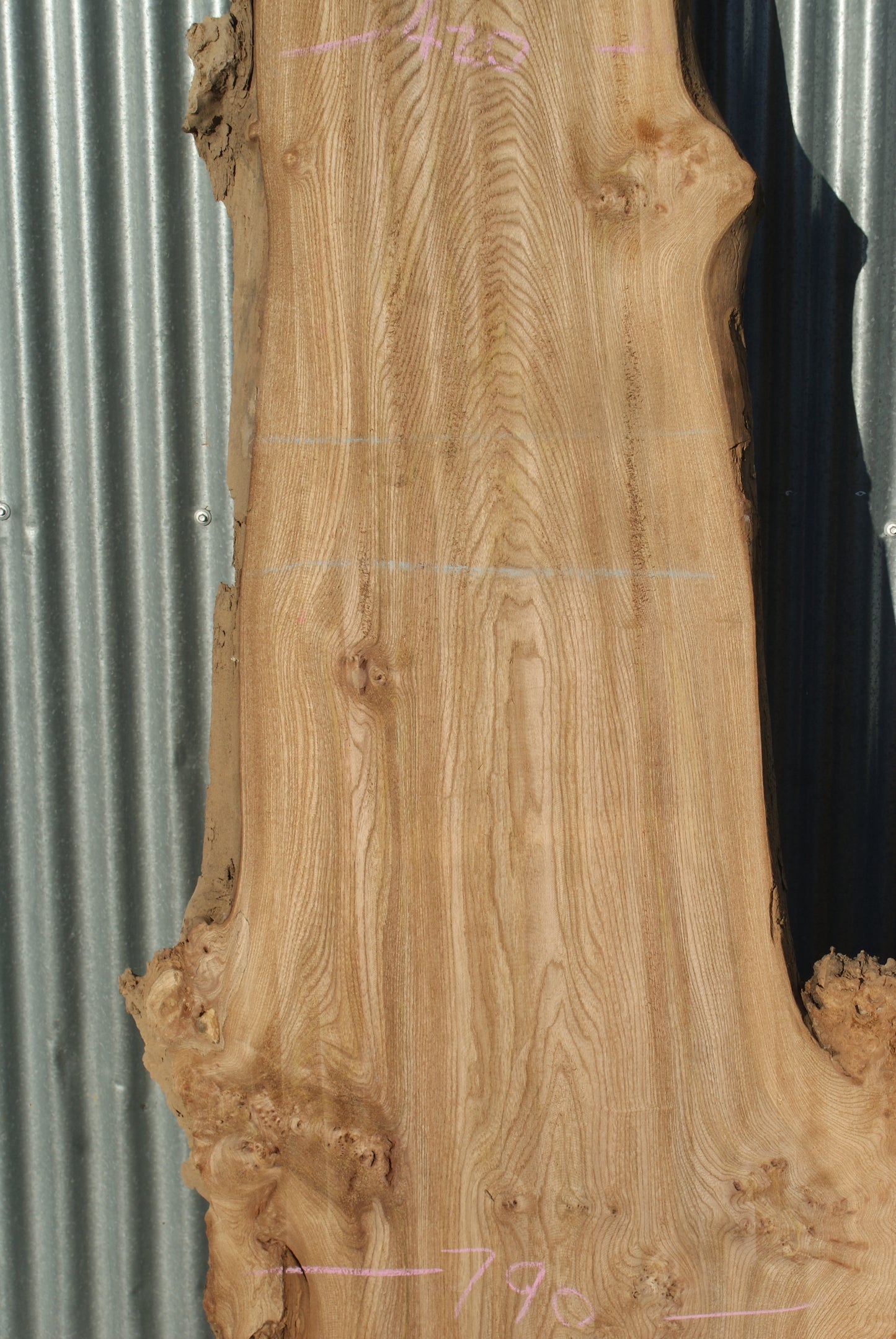 Large Elm Slab Kiln Dried 2630 L x 790 - 430 W x 45 D mm (280)