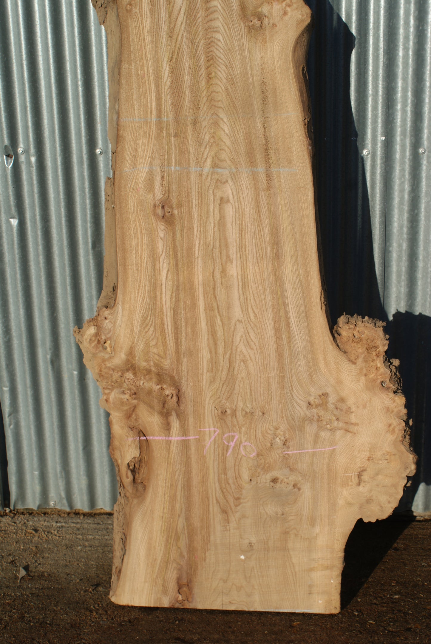 Large Elm Slab Kiln Dried 2630 L x 790 - 430 W x 45 D mm (280)