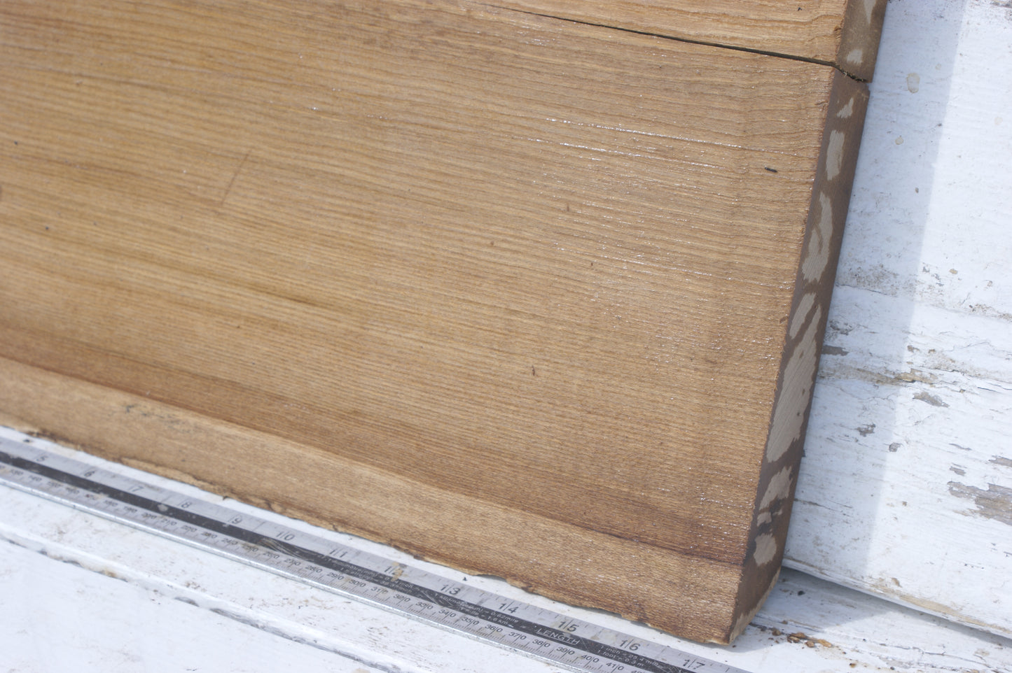 English Elm, slab, shelf, board (554)