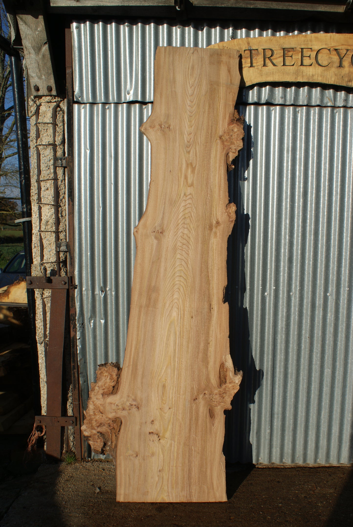 Large Elm Slab Kiln Dried 2630 L x 790 - 430 W x 45 D mm (280)
