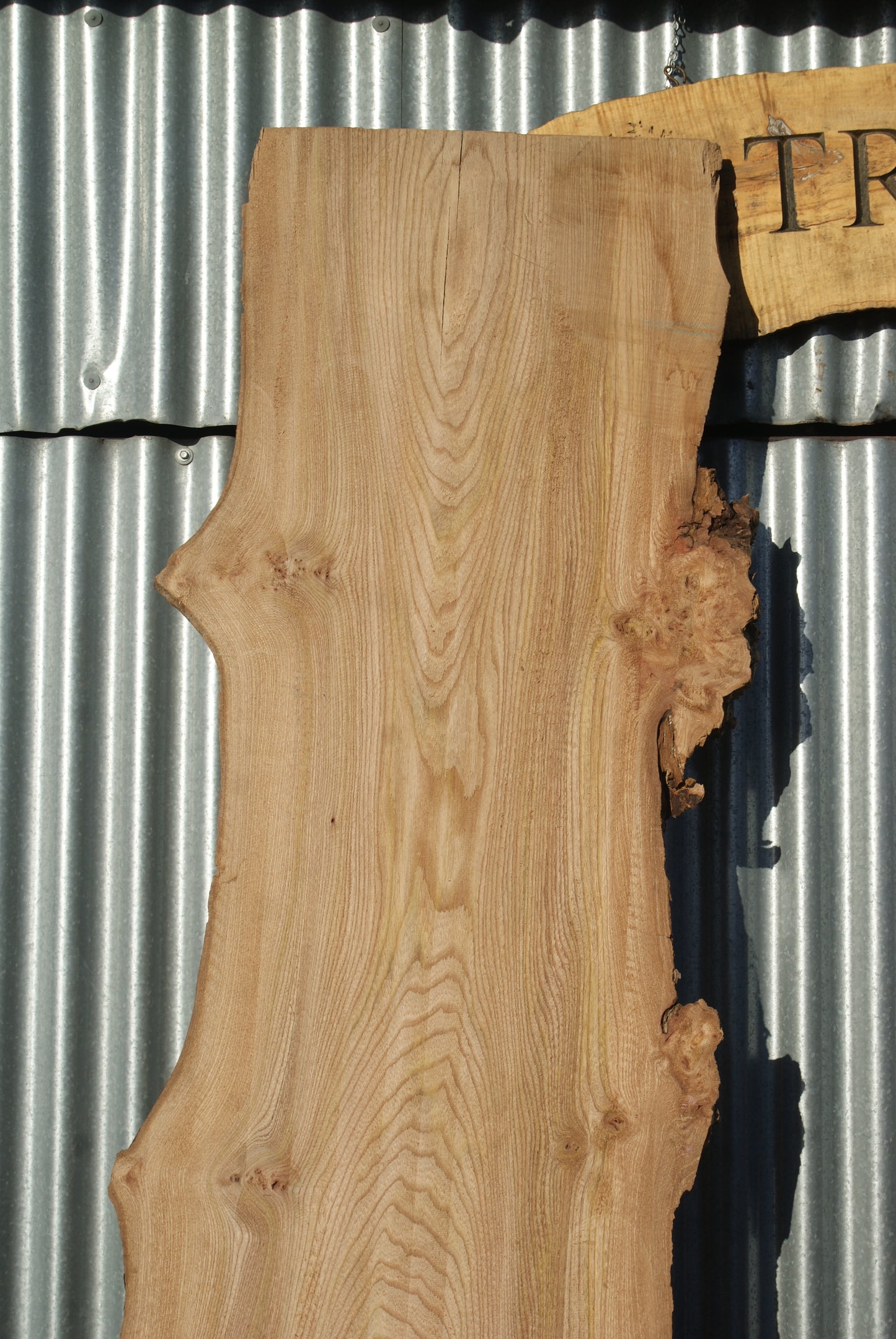 Large Elm Slab Kiln Dried 2630 L x 790 - 430 W x 45 D mm (280)