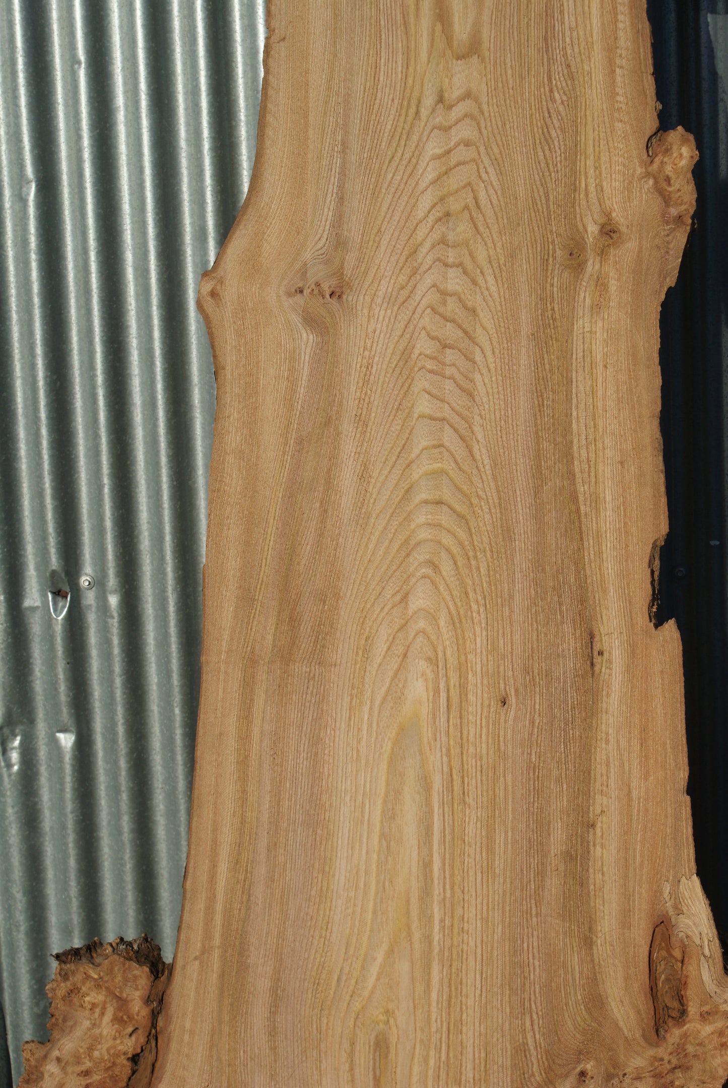 Large Elm Slab Kiln Dried 2630 L x 790 - 430 W x 45 D mm (280)