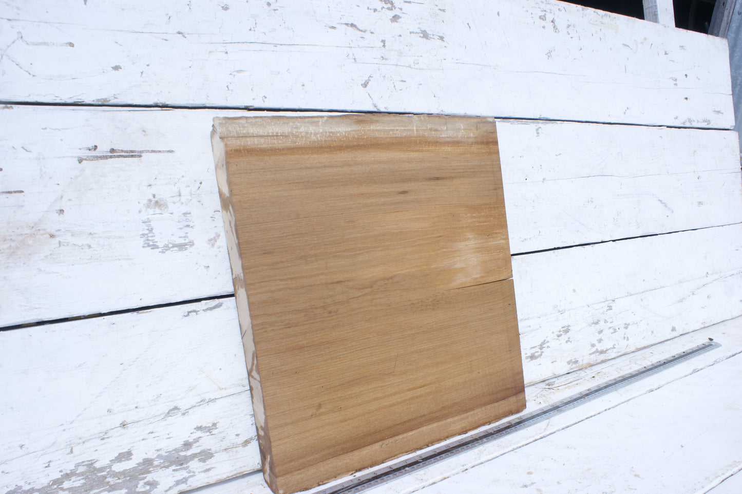 English Elm, slab, shelf, board (554)