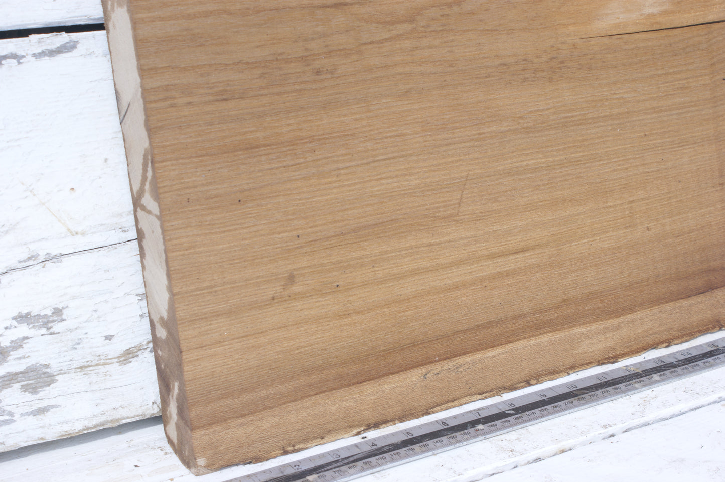 English Elm, slab, shelf, board (554)