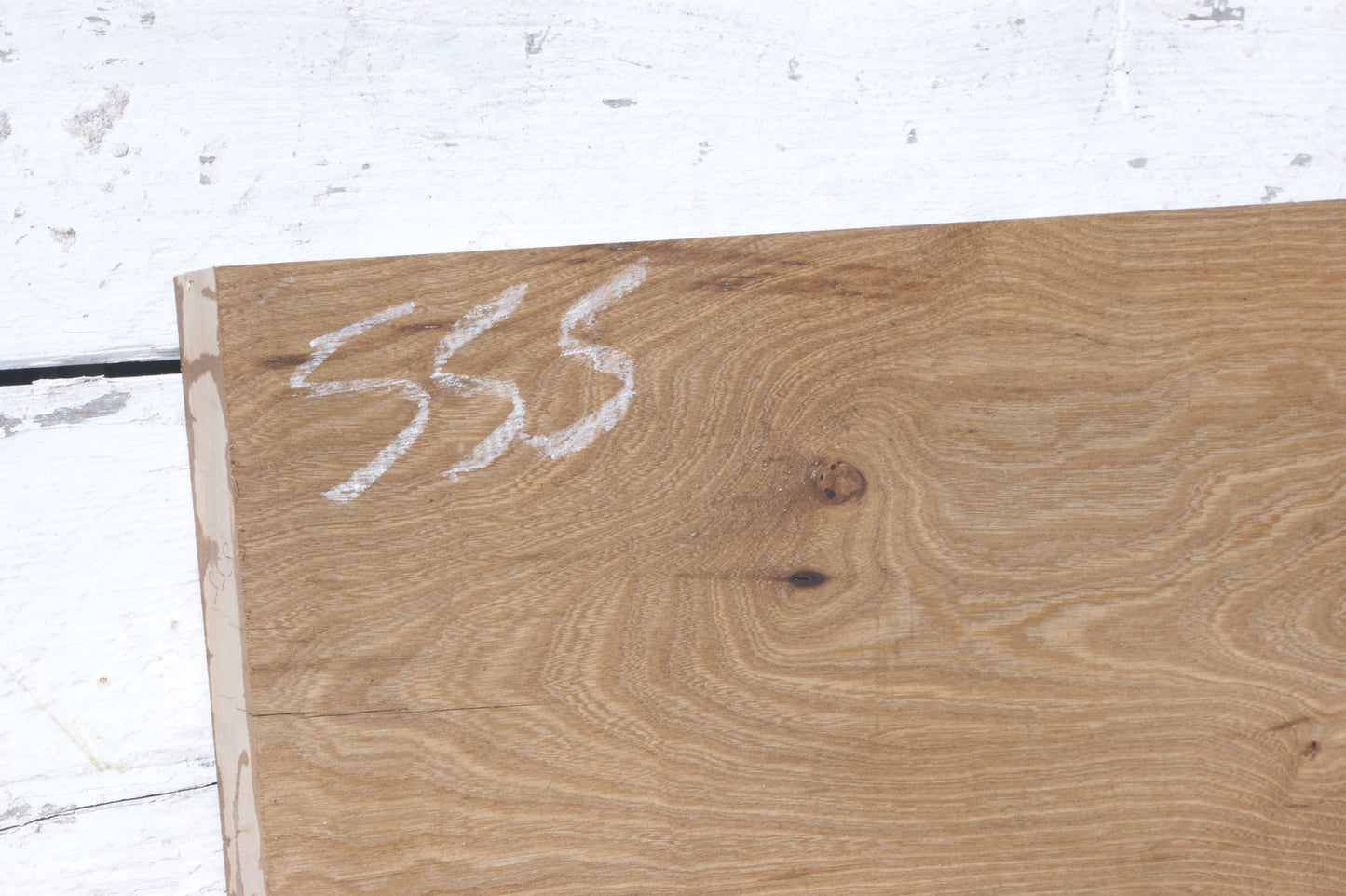 English Elm, slab, shelf, board (555)