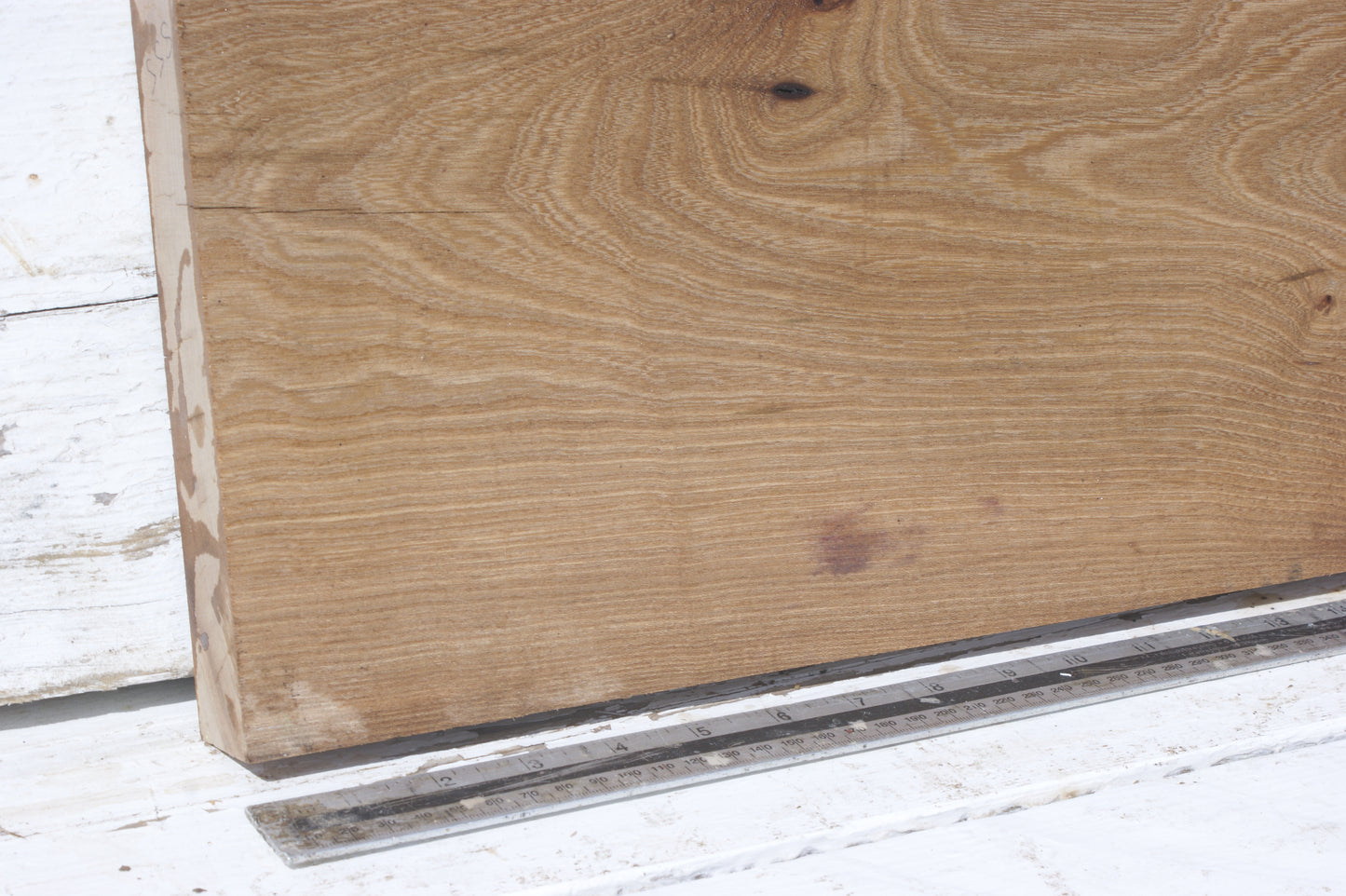 English Elm, slab, shelf, board (555)