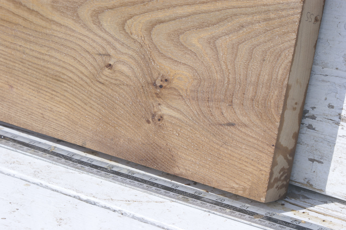 English Elm, slab, shelf, board (555)